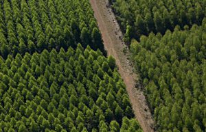 sustentabilidade 488x314